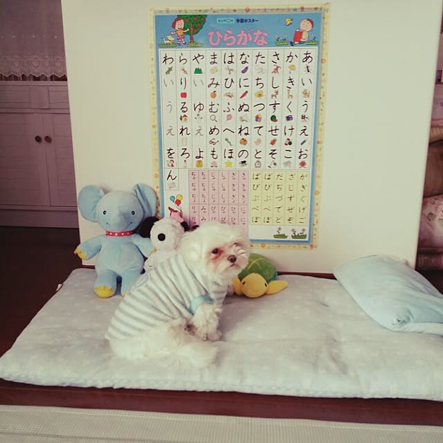 Yuriさんの実例写真