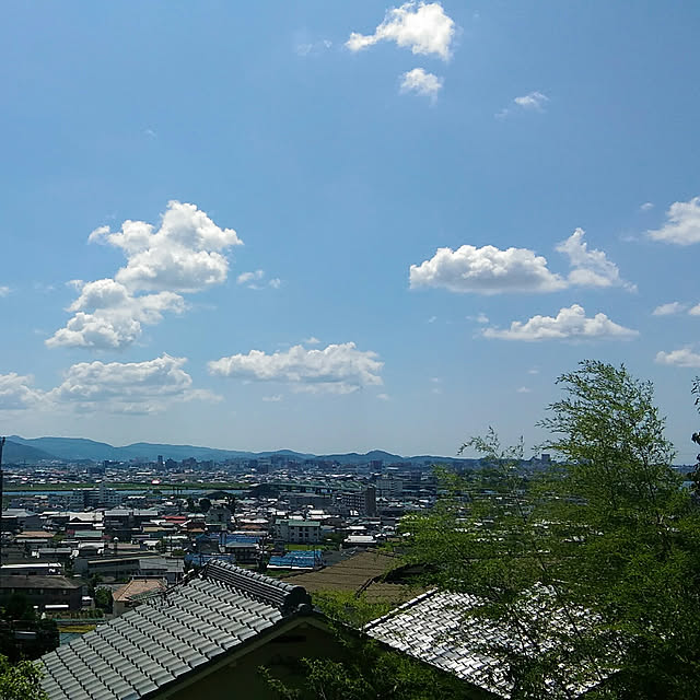 実例写真