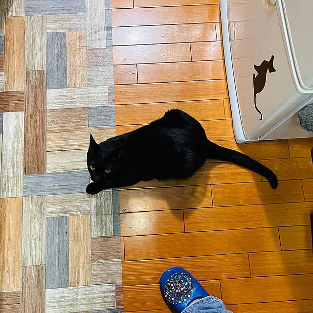 jijiさんの実例写真