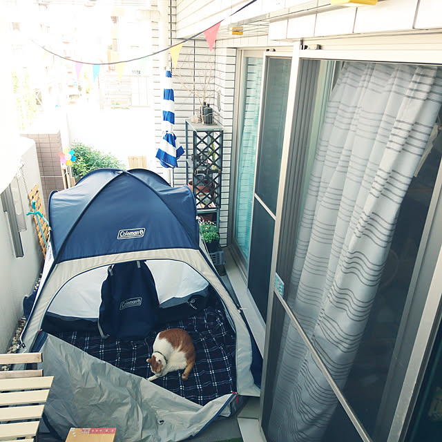 porinさんの実例写真