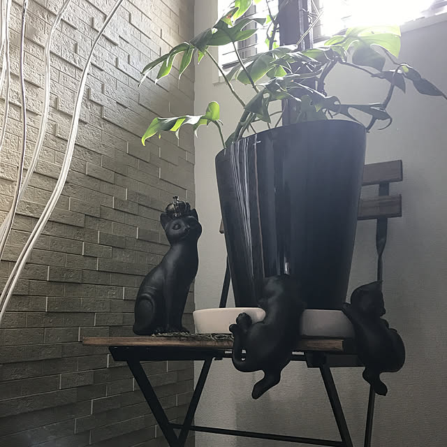 MIUさんの実例写真