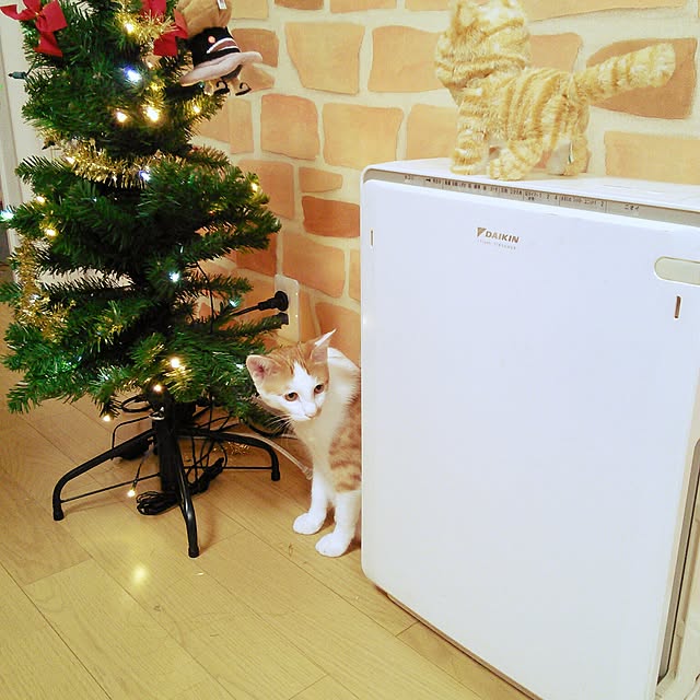 pouさんの実例写真