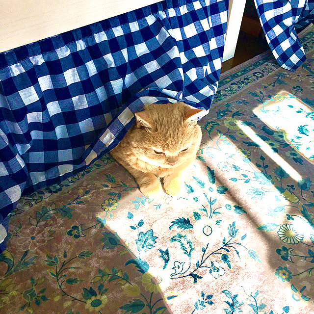 naokoさんの部屋