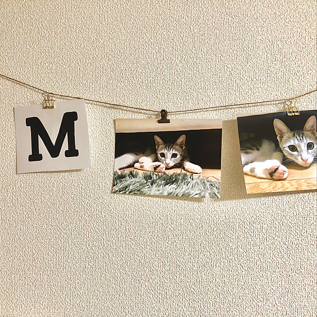 Honamiさんの実例写真