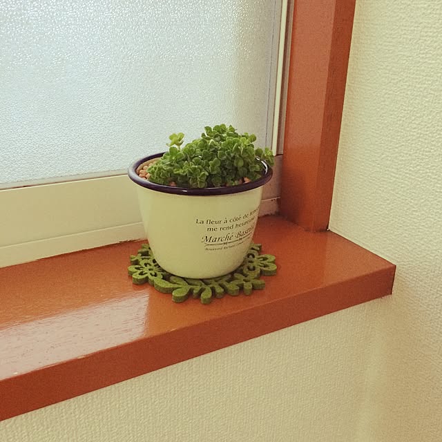 shii...0c_0さんの実例写真