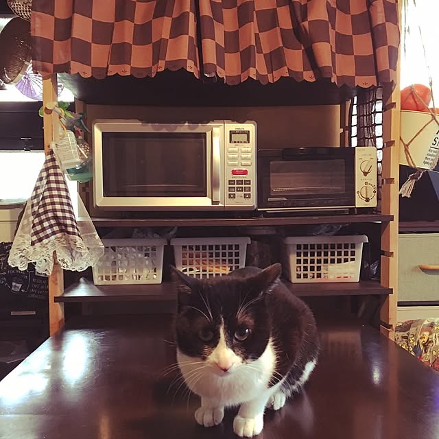 tamaさんの実例写真