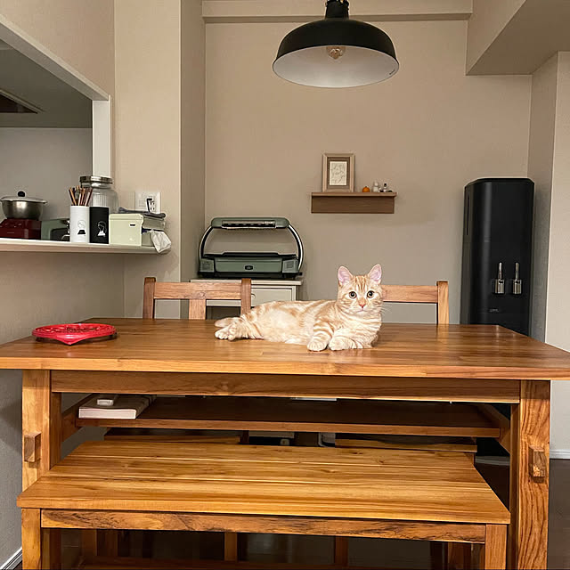 hachi101329さんの実例写真