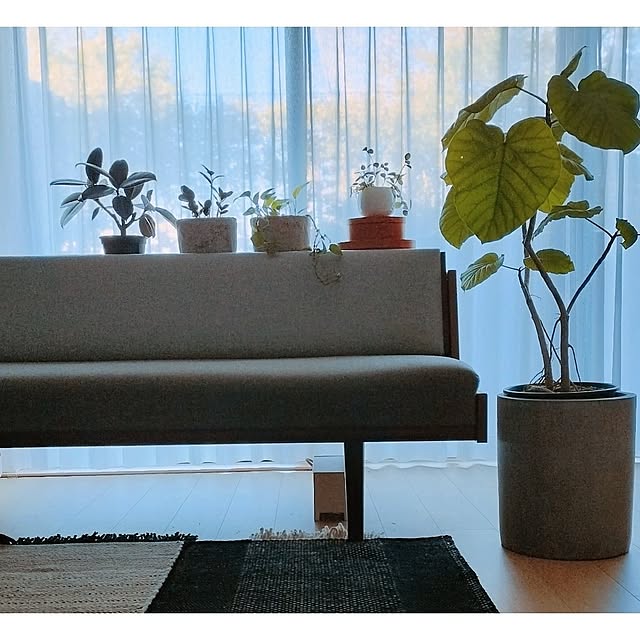 hanaminamiさんの実例写真