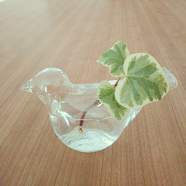kurumiさんの実例写真