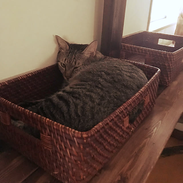 mikan161さんの実例写真
