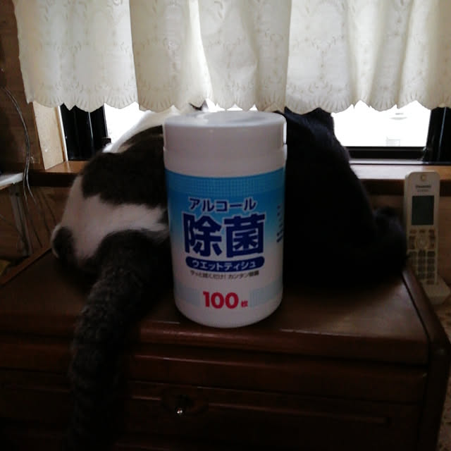 Tomopさんの実例写真