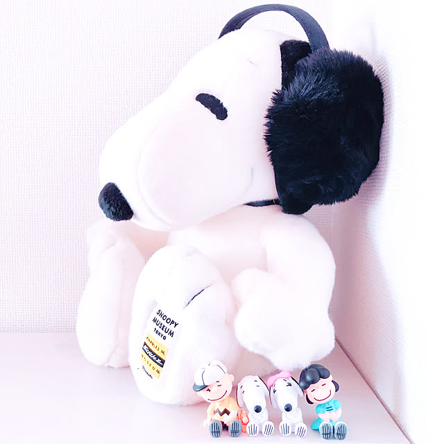 snoopyさんの実例写真
