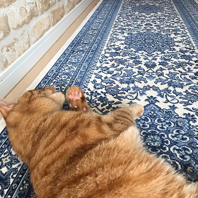 shiotanさんの実例写真