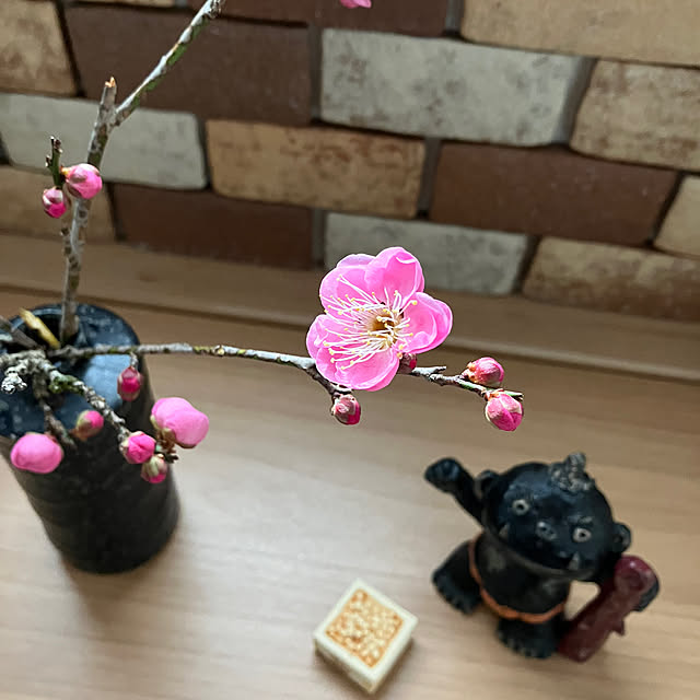 ikubooさんの部屋