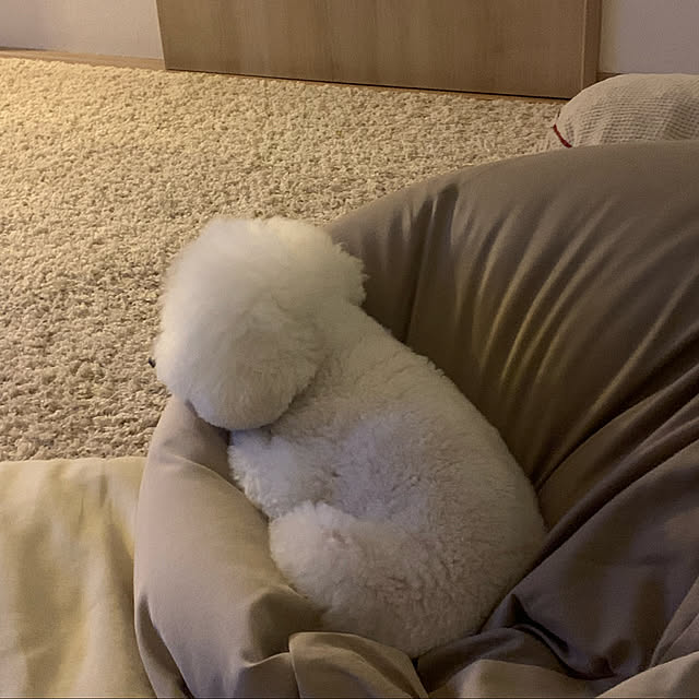 BUNさんの実例写真