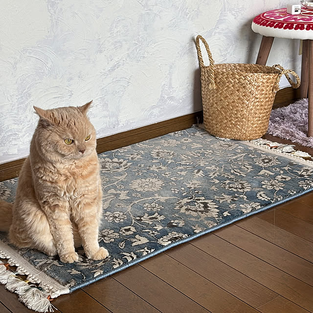 naokoさんの部屋