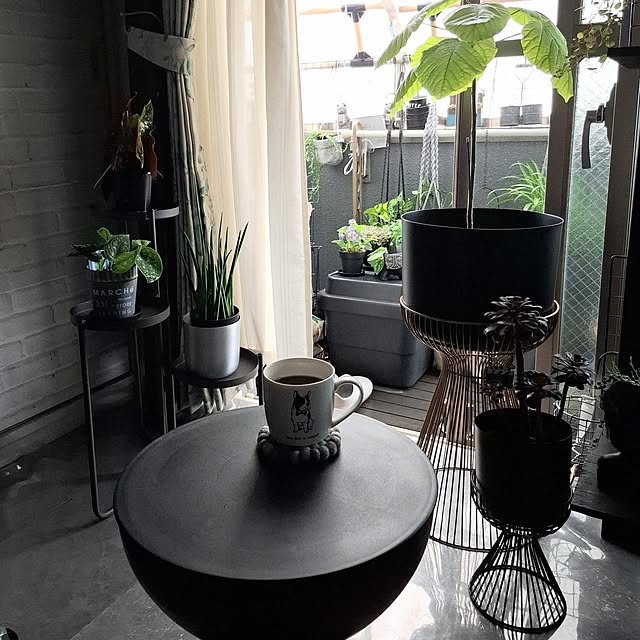 noaさんの実例写真