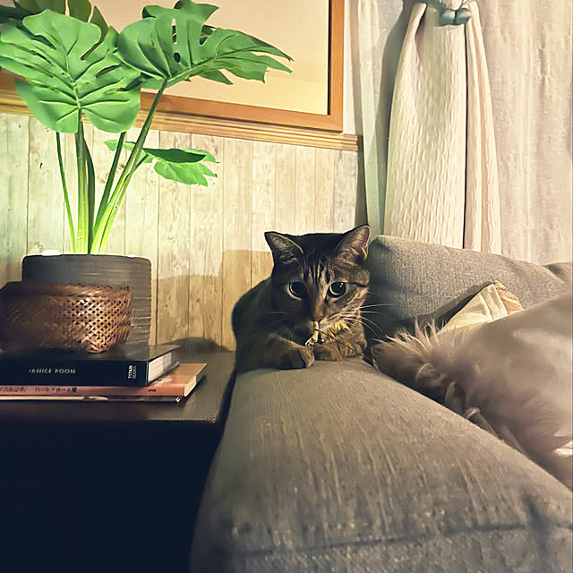 Mさんの実例写真