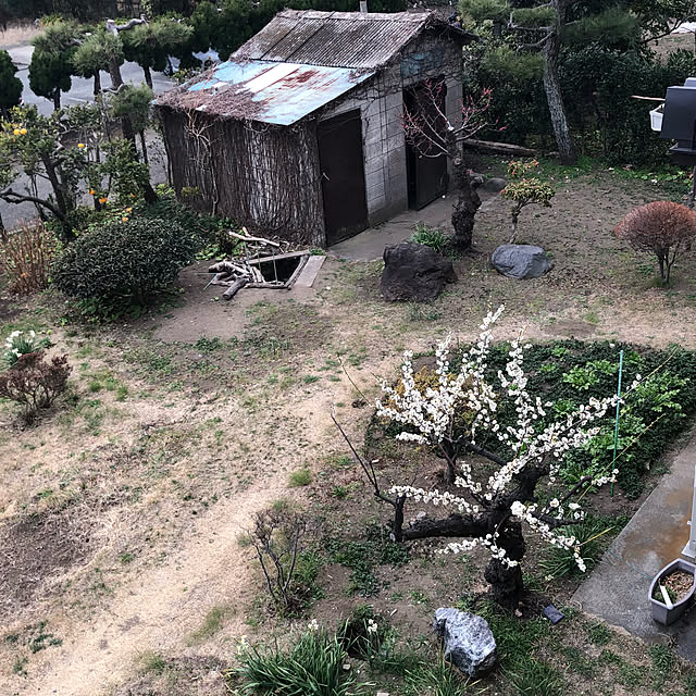 suzyさんの実例写真