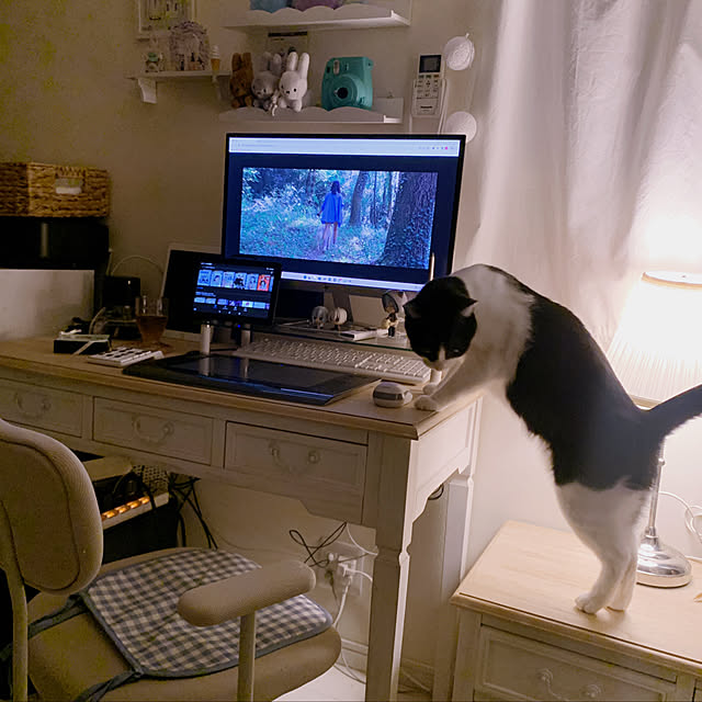ねこと暮らす/PCデスク/モニター応募投稿/ホワイトインテリア/フェアリーライト...などのインテリア実例 - 2023-10-03 20:47:34