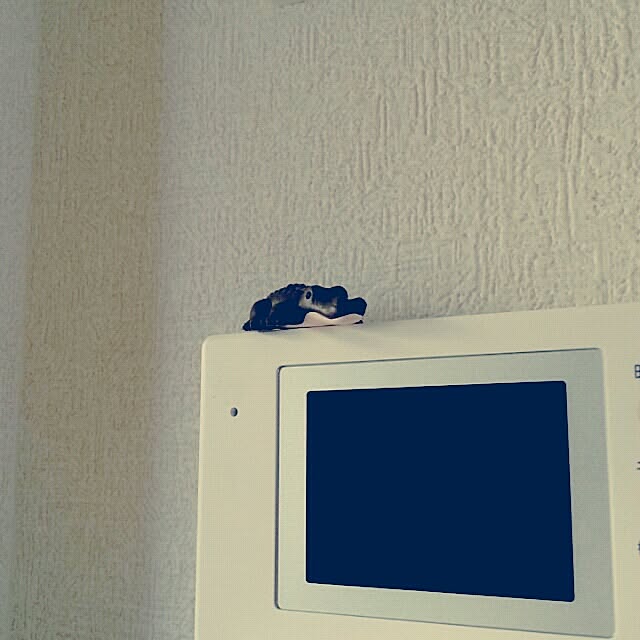 rponさんの実例写真