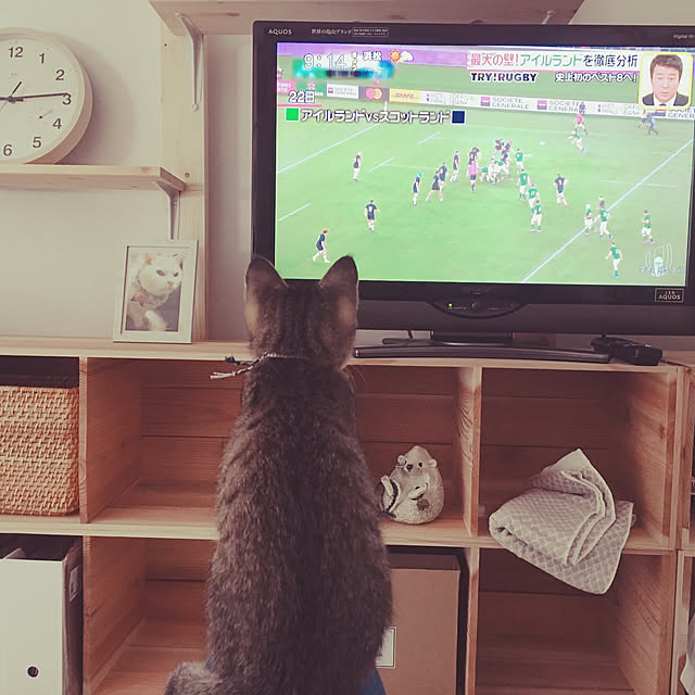 Chiharuさんの実例写真