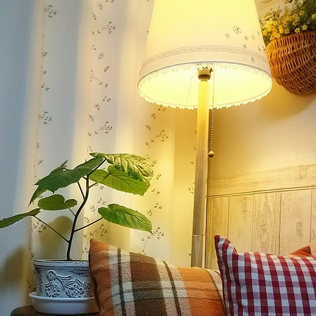 naopyiさんの実例写真