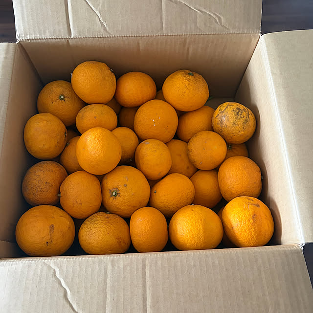 ritsukoさんの部屋