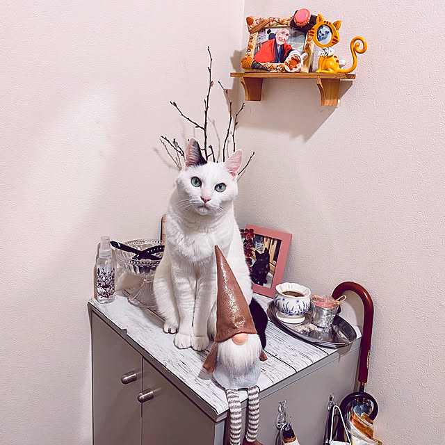 YUKAさんの実例写真