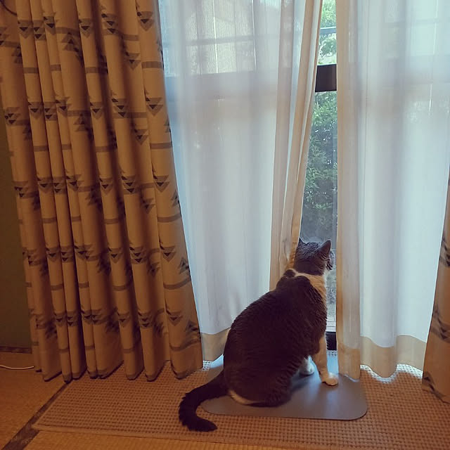 rhuさんの実例写真