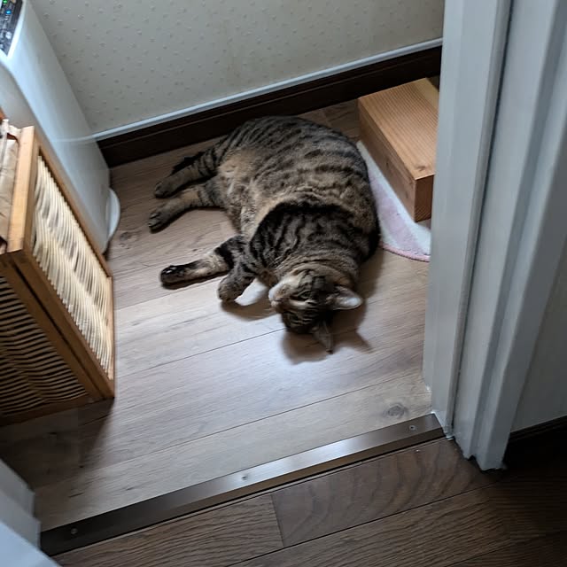 mori_6_12さんの部屋