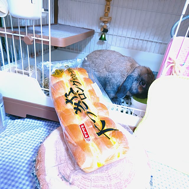 mariaさんの部屋