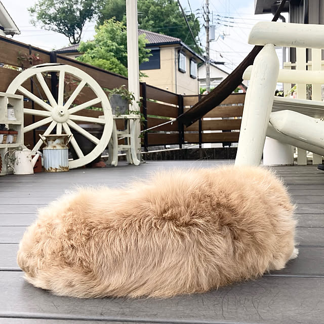 chachamamaさんの実例写真