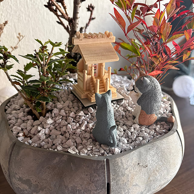 thirorunさんの実例写真