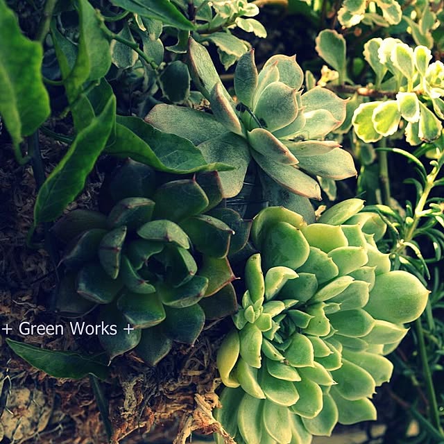 GreenWorksさんの実例写真