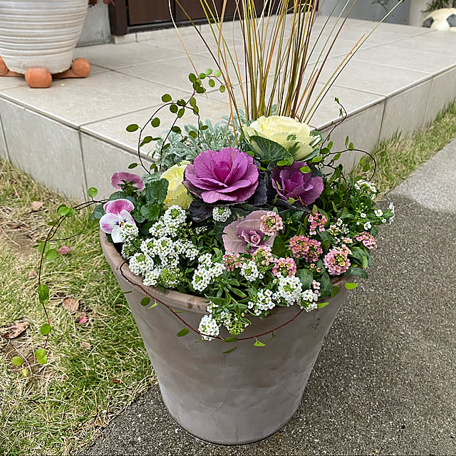 yoshieさんの実例写真