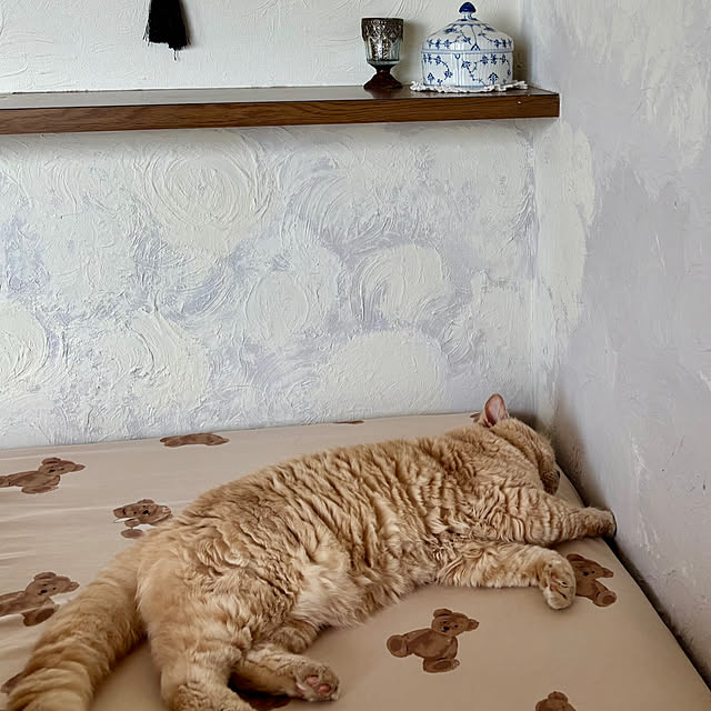 naokoさんの部屋