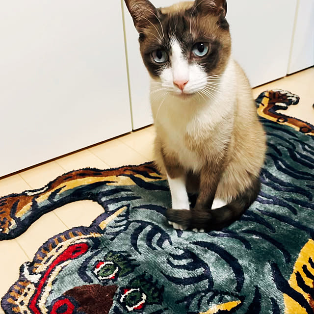 muuさんの実例写真