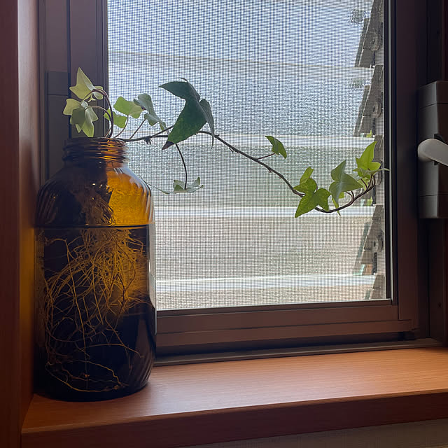 SIELUさんの部屋