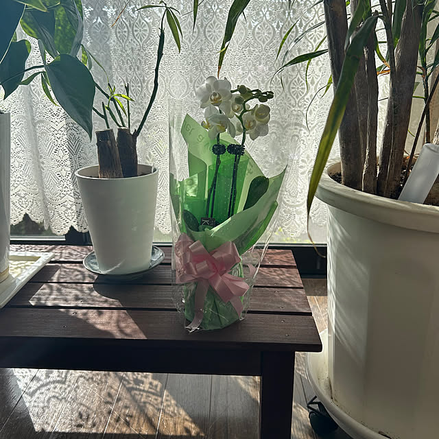 ritsukoさんの部屋
