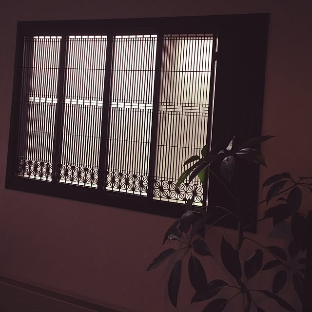 PINOさんの実例写真