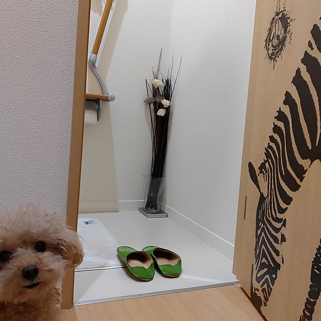 hasehase1219さんの実例写真