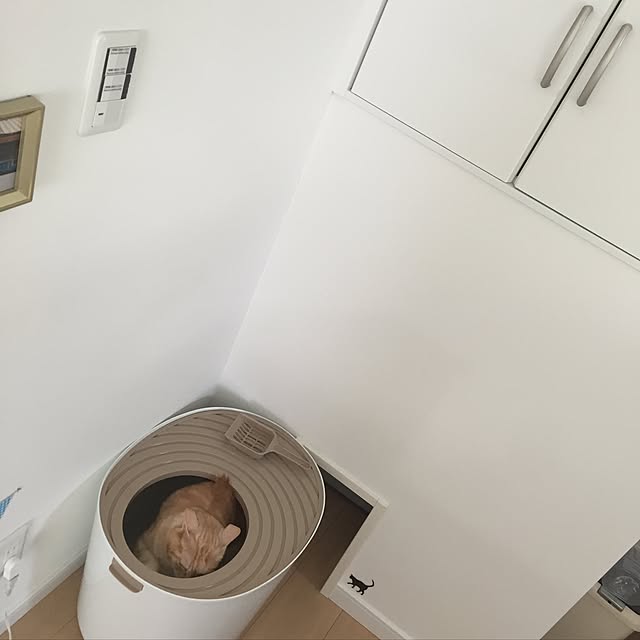 Minakoさんの実例写真