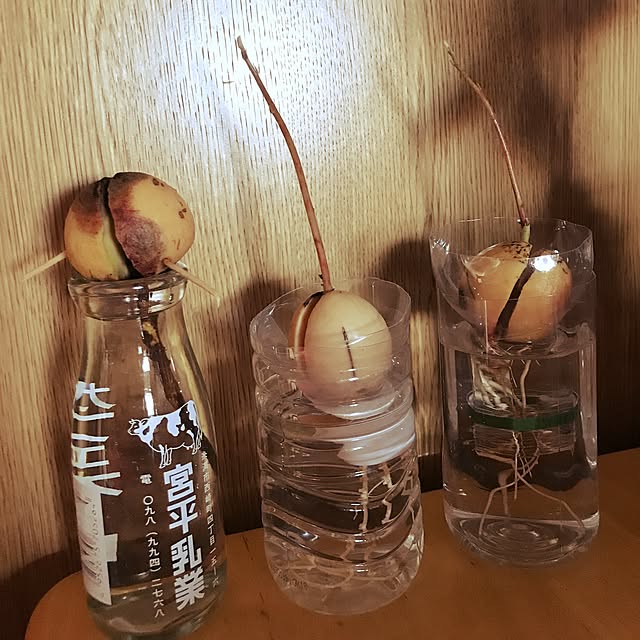 sooooonaさんの実例写真