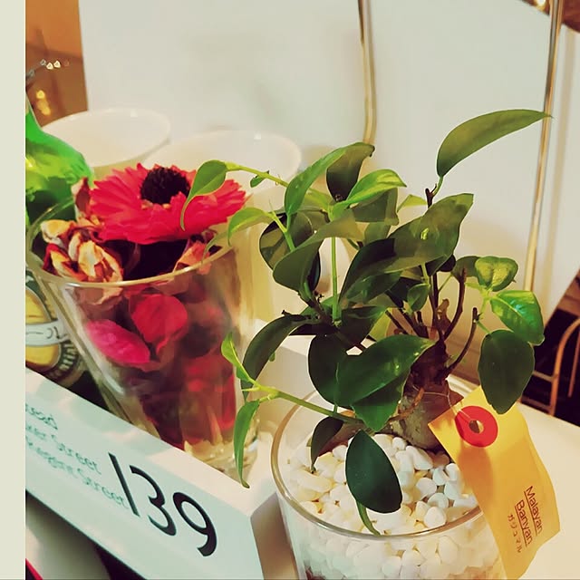 棚/雑貨/100均/観葉植物のインテリア実例 - 2017-01-29 00:56:24