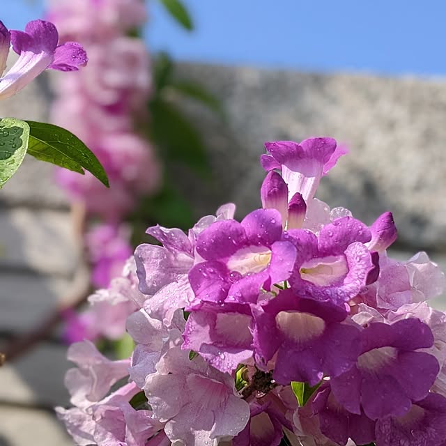 wumag418さんの実例写真