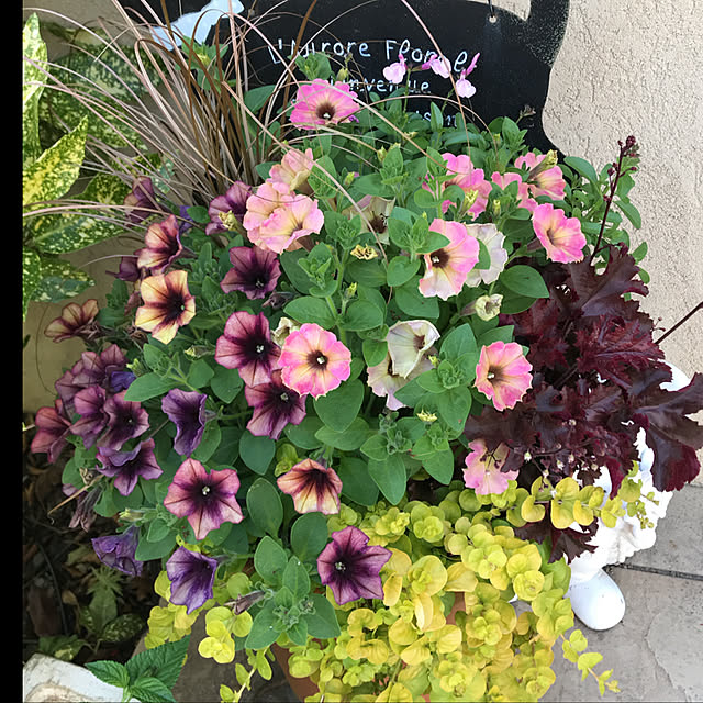 yukarin-gardenさんの実例写真