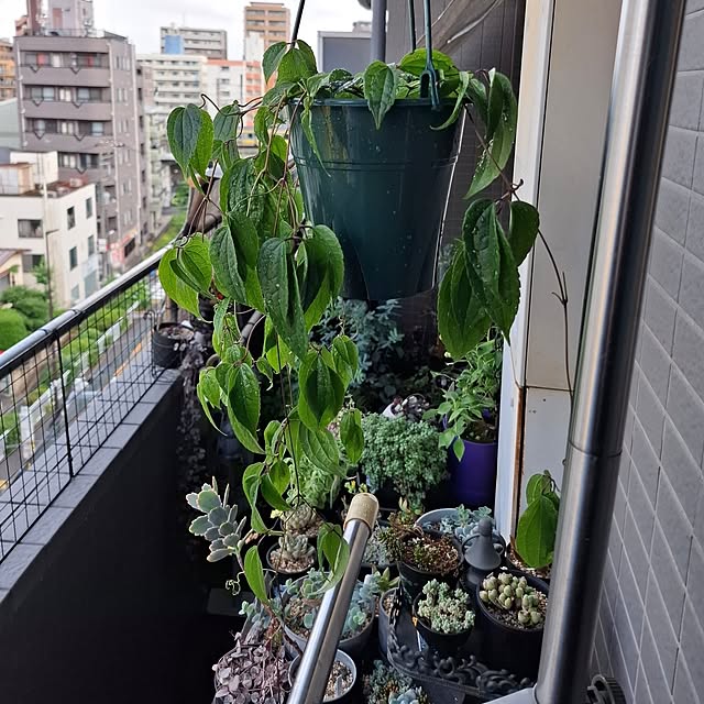 noaさんの部屋