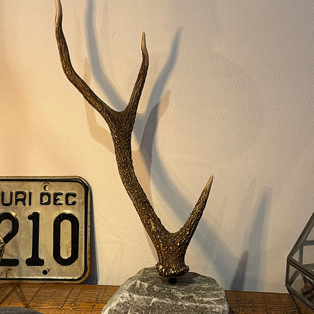 japitonさんの部屋