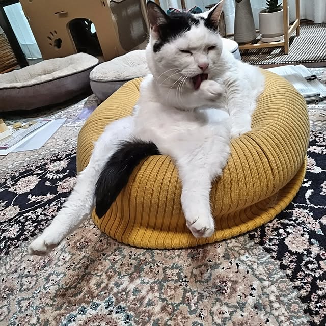yuuさんの部屋